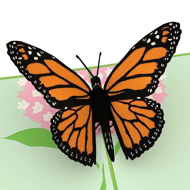 Butterfly 3D card<br>ĳ
