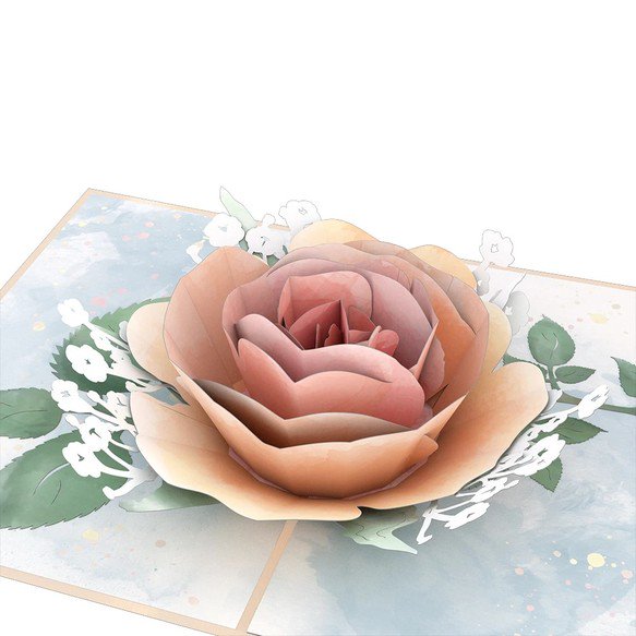 Peach Rose Bloom 3D card<br>ԡ֥롼