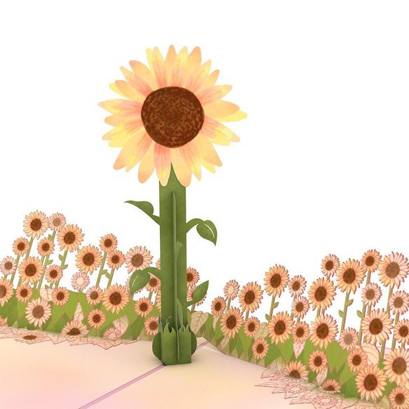Sunflower Sunrise 3D card<br>Ҥޤν