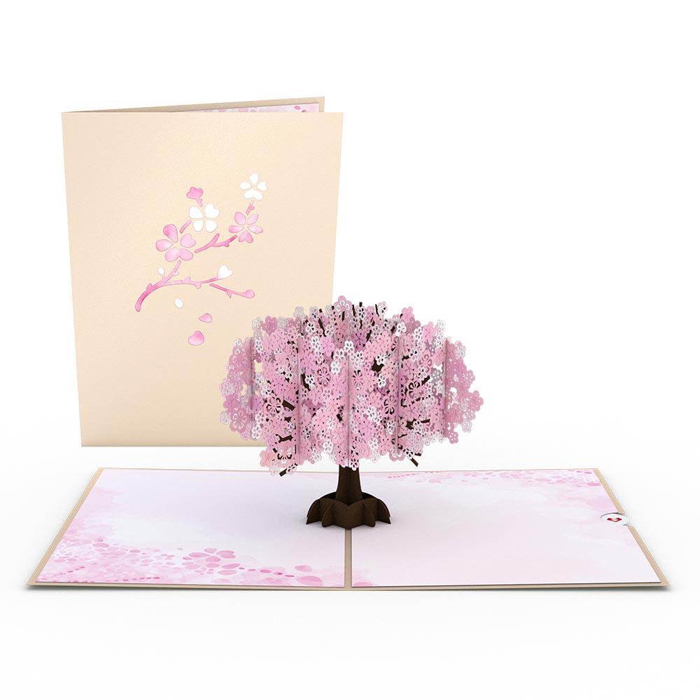 Cherry Blossom 3D card<br>さくら