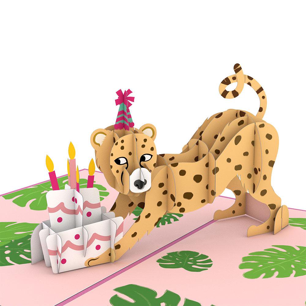 Wild Birthday 3D card<br>磻ɥСǡ