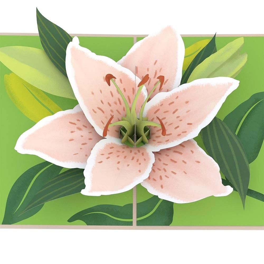 Paper And Wood Shop Nisshodo Greeting Paper And Wood Shop Nisshodo Greeting