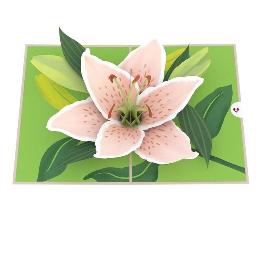 母の日に贈るユリの花のポップアップカード Nisshodo Greeting 母の日に贈るユリの花のポップアップカード Nisshodo Greeting