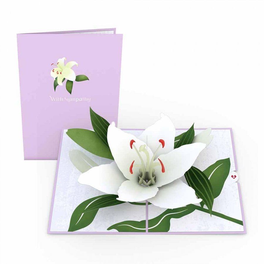 Sympathy Lily 3D card<br>פΥ