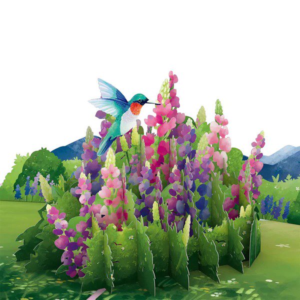 Lupine Hummingbird 3D card<br>Υܥեȥϥɥ