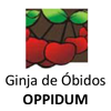 オピドゥム<br>Oppidum