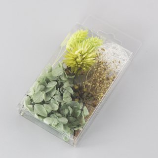 ハーバリウム用花材セットミニパック　グリーン