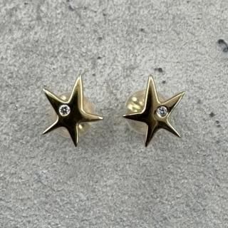 K18 hoshi pierce single (1γ)