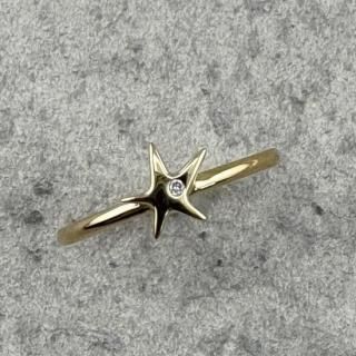 K18 hoshi ring (1γ)