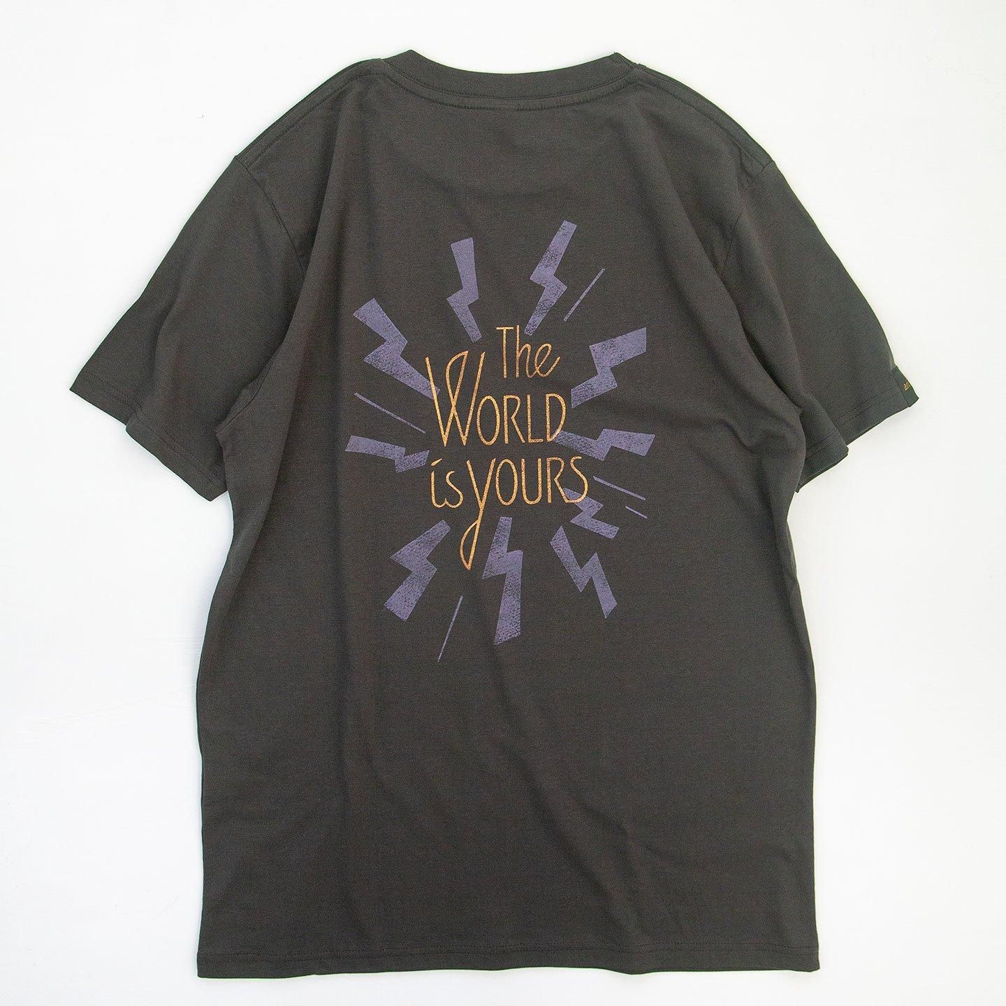 Graphic T-shirt (unisex) / sumi