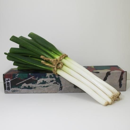 江戸伝統野菜 江戸千住葱 1 5kg 5本 8本 葱善