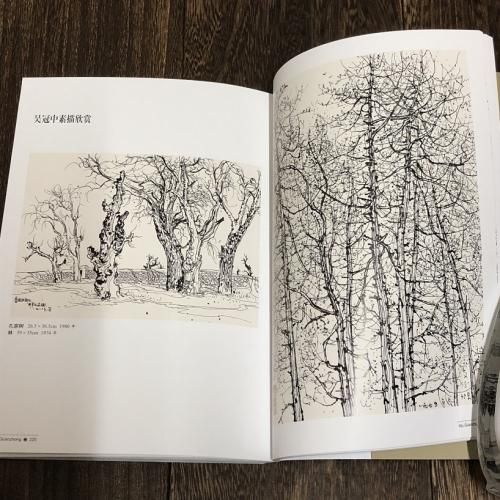世界名画家全集 呉冠中 - 古本・絵本・画本と道楽の店 影ぼうし 世界名画家全集 呉冠中 - 古本・絵本・画本と道楽の店 影ぼうし