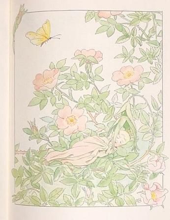 エルサ・ベスコフ 花のうた - 古本・絵本・画本と道楽の店 影ぼうし