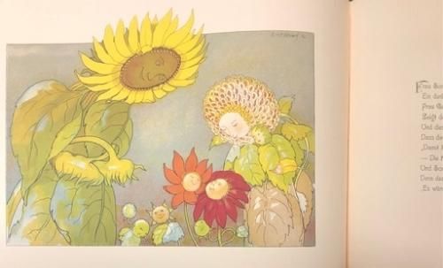 BLUMEN-MARCHEN 花のメルヘン - 古本・絵本・画本と道楽の店 BLUMEN-MARCHEN 花のメルヘン - 古本・絵本・画本と道楽の店