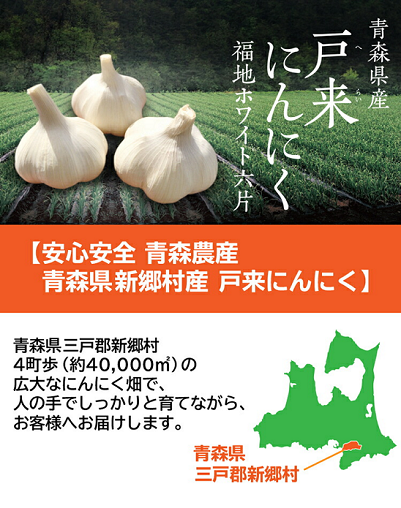 青森県産 白にんにく 青森県産 白にんにく