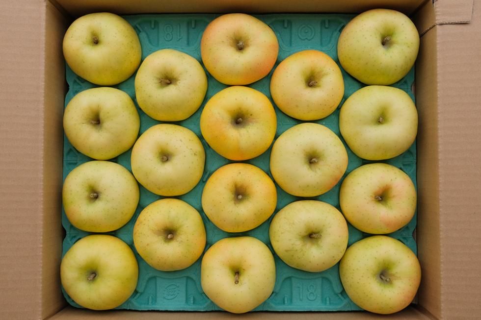 諏訪農園｜りんご｜トキ 特選品 5kg 14個～20個