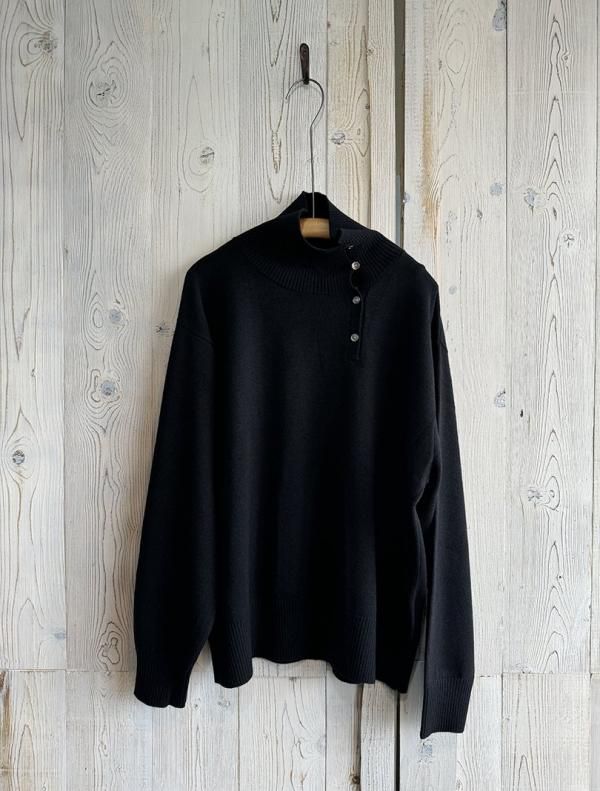 <img class='new_mark_img1' src='https://img.shop-pro.jp/img/new/icons16.gif' style='border:none;display:inline;margin:0px;padding:0px;width:auto;' />mizuiroind ߥ high neck P/O with button 