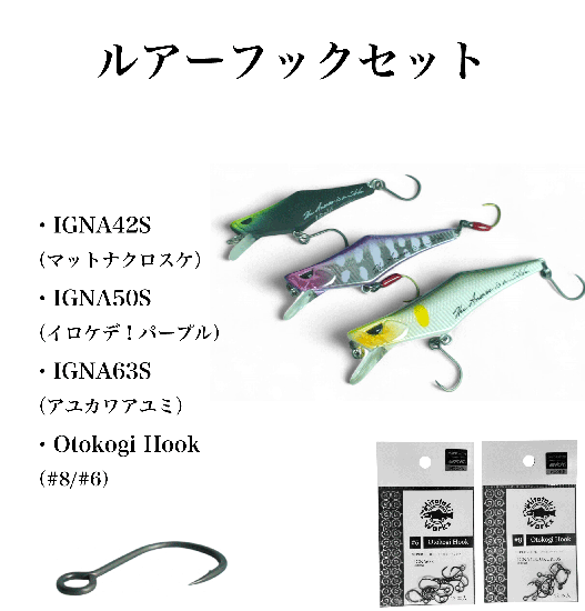 ヒトトキワークス イグナ 50 42