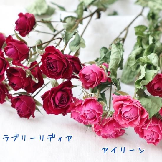 花材 バラ ラブリーリディア Ovalhomeplanet
