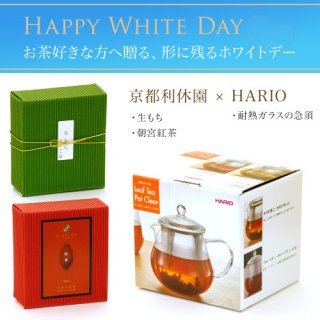 ハリオ製耐熱ガラスの急須 お茶とお菓子のセット（生もち・朝宮紅茶）特別包装&のし teapot-set-06
