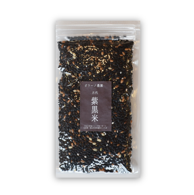 無農薬米・古代紫黒米 モチ玄米200g - ちぃっとらっつ農舎