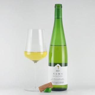 ե Ԥ ʡ ˥֥  ; ̳ƻ