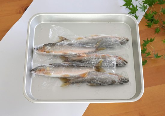 冷凍＞天然子持ち鮎 5匹入り（約500g） - 恵那峡さかえ屋