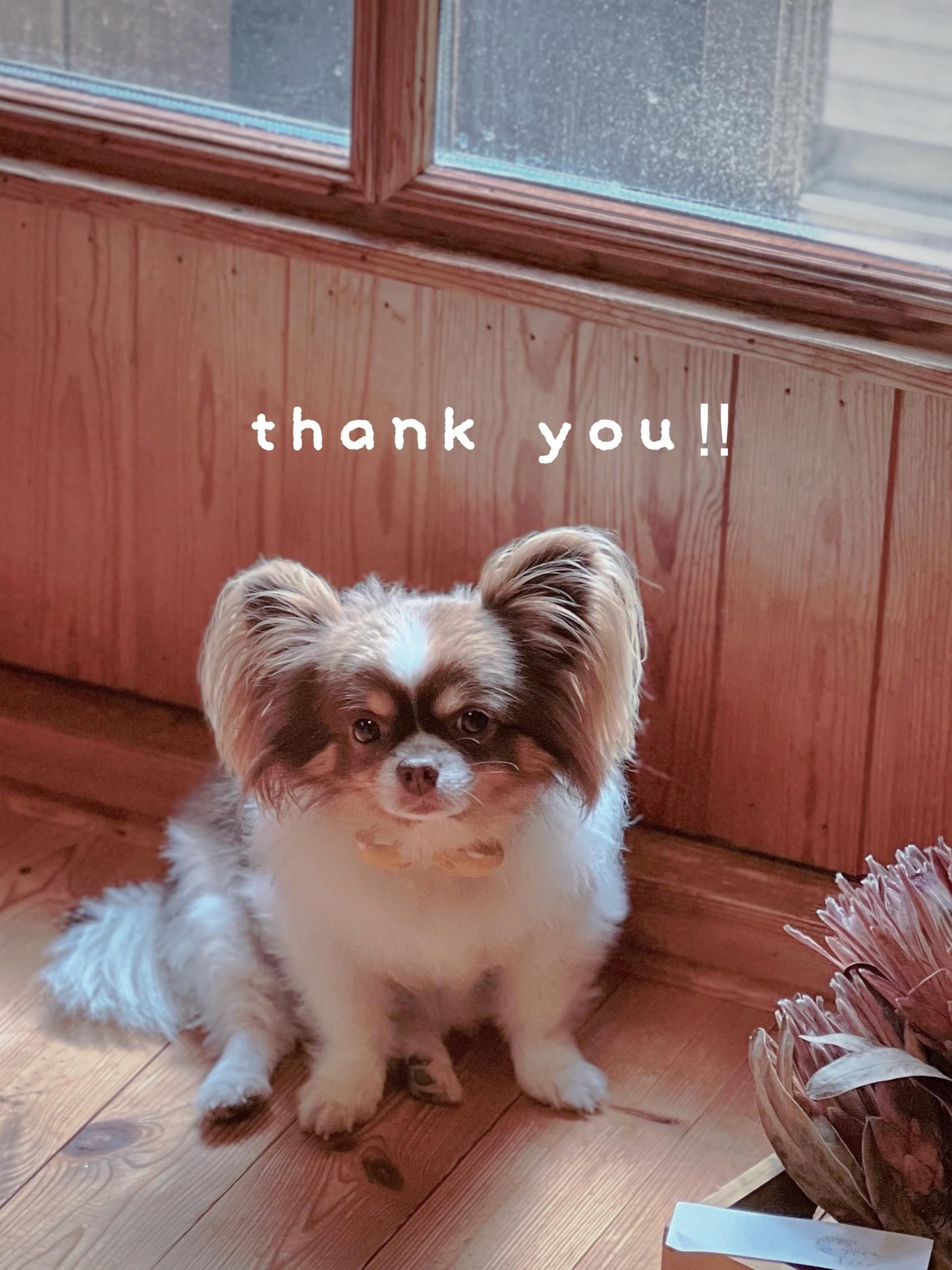 花cafe＊六花rocca  