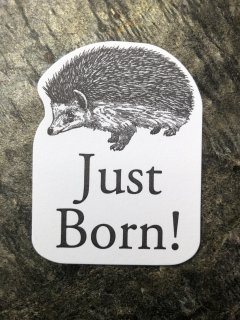 Just Born カード