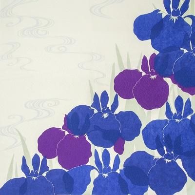 かきつばた・花菖蒲 - Furoshikiya YAMATONADESHIKO