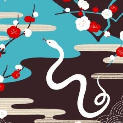 美品 軸 金運 白蛇 おもてなし 絵 龍脈 富士 山水 中国 風水