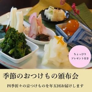 2026ǯ2ϤϢ ۲ǯ5ˢ㤪ʡߢ