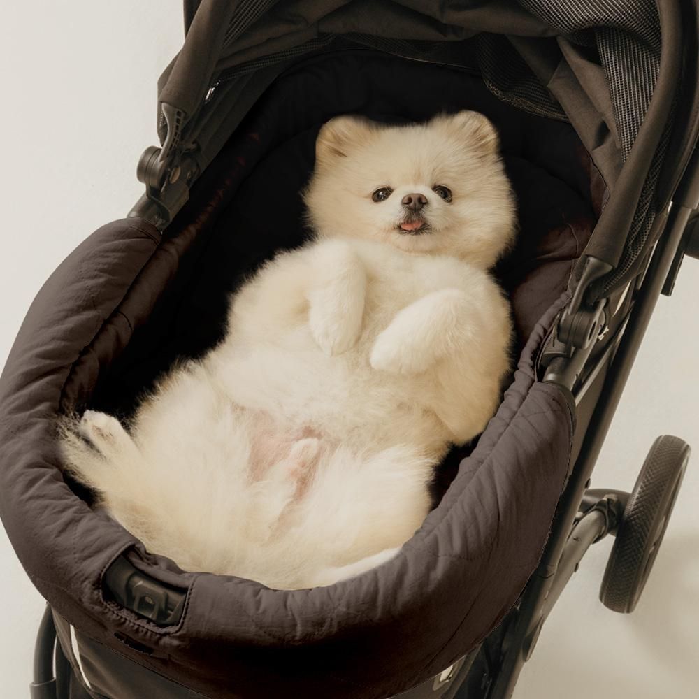 ペットカート　美品　CAMPOプレミアムバギー CAMPOプレミアムバギー - ペット用品通販サイトノーランロス