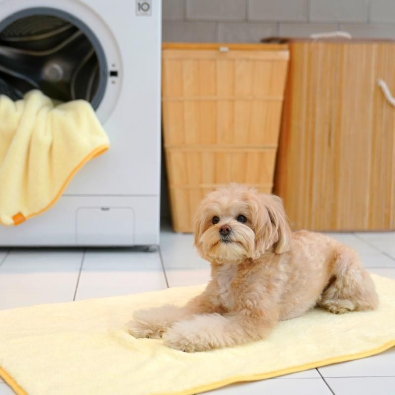 ドライタオル - ペット用品通販サイトノーランロス｜愛犬愛猫用