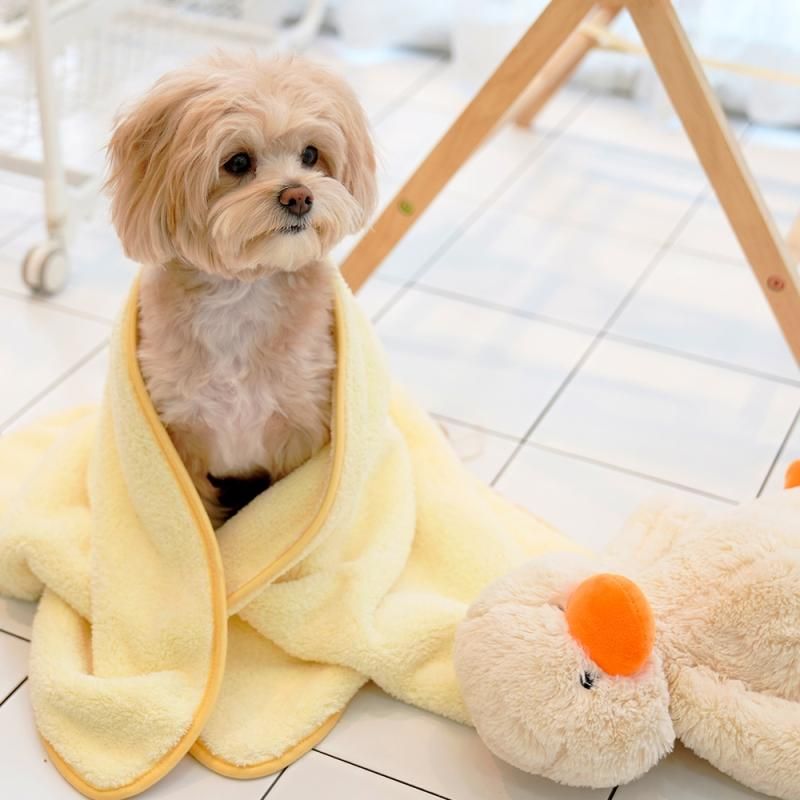 ドライタオル - ペット用品通販サイトノーランロス｜愛犬愛猫用