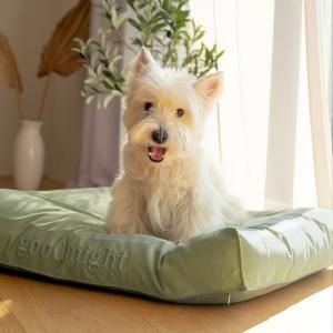 <img class='new_mark_img1' src='https://img.shop-pro.jp/img/new/icons60.gif' style='border:none;display:inline;margin:0px;padding:0px;width:auto;' />ͽʡۥ٥å(ե륻å)