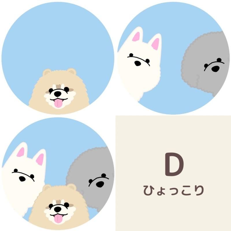 愛犬のオリジナルイラスト ペット用品通販サイトノーランロス 愛犬愛猫用おしゃれなキャリーバッグ グッズ 服 インテリア