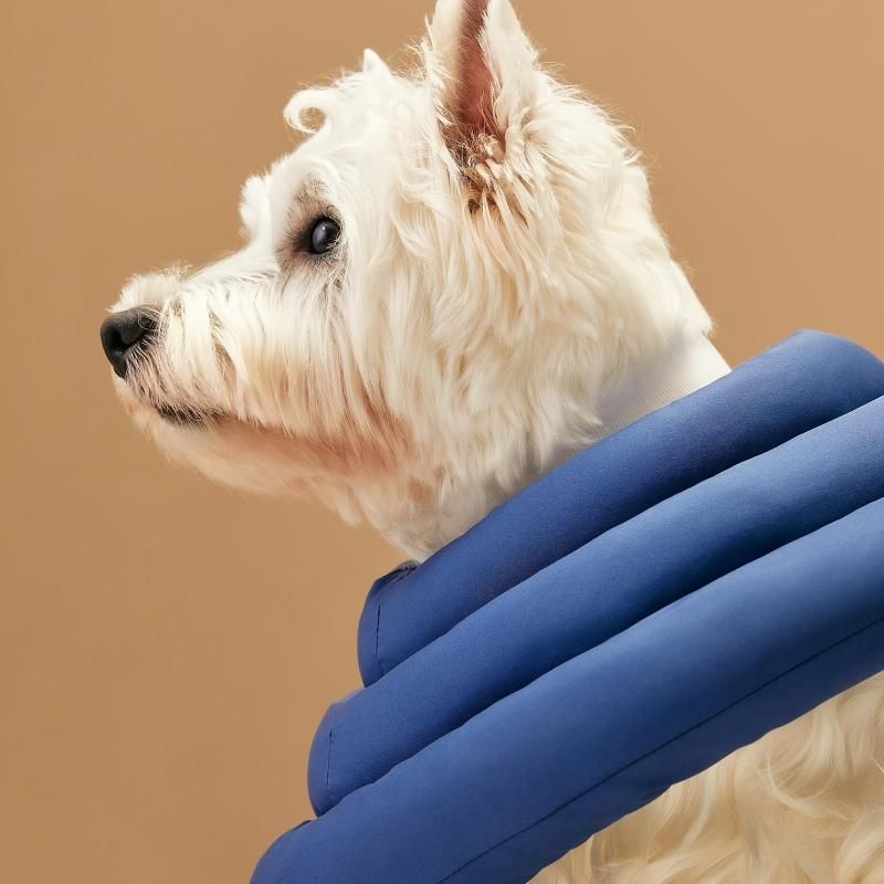 UFOネックカラーV2 - ペット用品通販サイトノーランロス｜愛犬愛猫用