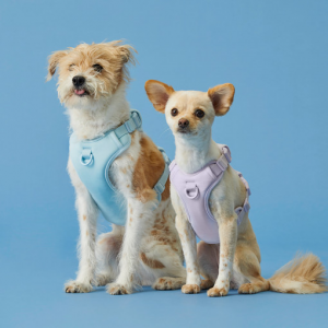 <img class='new_mark_img1' src='https://img.shop-pro.jp/img/new/icons65.gif' style='border:none;display:inline;margin:0px;padding:0px;width:auto;' />ޥեåȥϡͥV2