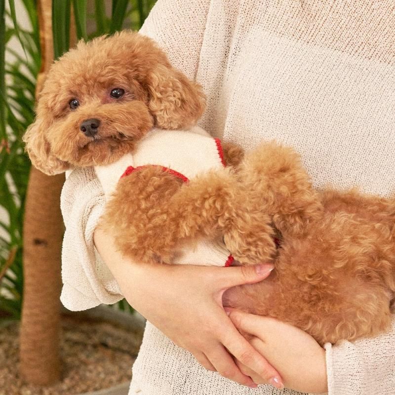 フラワーニットベスト - ペット用品通販サイトノーランロス｜愛犬愛猫