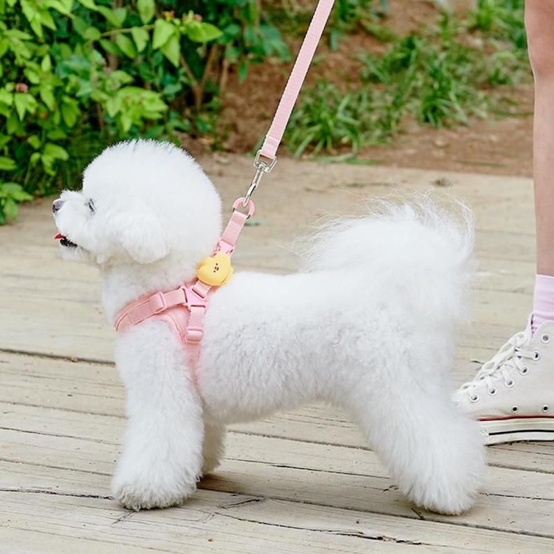 FLUFFYお散歩ケアライト - ペット用品通販サイトノーランロス｜愛犬愛