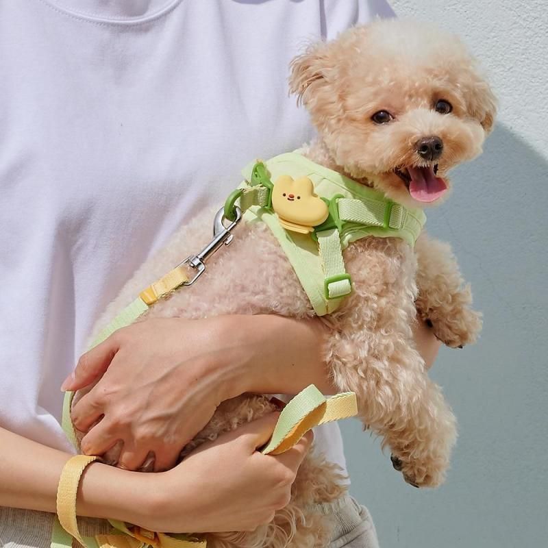 FLUFFYお散歩ケアライト - ペット用品通販サイトノーランロス｜愛犬愛