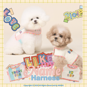 <img class='new_mark_img1' src='https://img.shop-pro.jp/img/new/icons12.gif' style='border:none;display:inline;margin:0px;padding:0px;width:auto;' />ͽʡMY NAME С֥ϡͥ