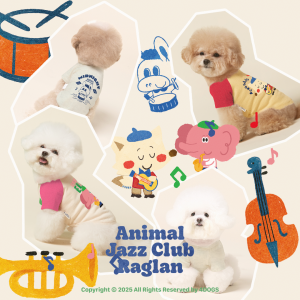 <img class='new_mark_img1' src='https://img.shop-pro.jp/img/new/icons12.gif' style='border:none;display:inline;margin:0px;padding:0px;width:auto;' />ͽʡۥ˥ޥ饰T
