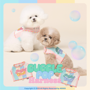 <img class='new_mark_img1' src='https://img.shop-pro.jp/img/new/icons12.gif' style='border:none;display:inline;margin:0px;padding:0px;width:auto;' />ͽʡۥѥƥС֥ϡͥ