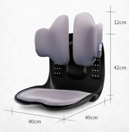 驚き価格】骨盤矯正座椅子☆ラボネッツ☆ブラック