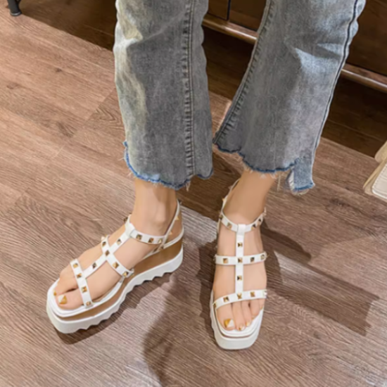 å륵 ǥ  塼  ץåȥե 쥵 Хåȥå å ܥ塼  Ĺ 奢 Ф  줤 եå<img class='new_mark_img2' src='https://img.shop-pro.jp/img/new/icons61.gif' style='border:none;display:inline;margin:0px;padding:0px;width:auto;' />