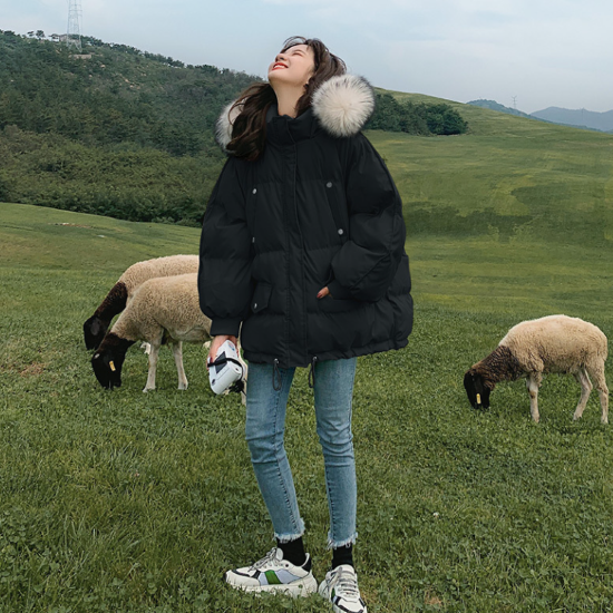 㥱å ǥ    Ĺµ ադ եդ եȥåѡ ܥ塼 ɴ  Ȥ  ץ ̵ ١å 奢 Ф  