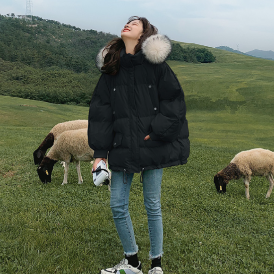 㥱å ǥ   󥸥㥱å ադ ե ɥ顼 ɴ  Ȥ  ä Ĺµ եȥåѡ ܥ塼 奢 ץ Ф