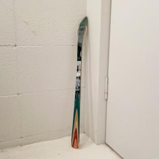 ShoehornSkateboard